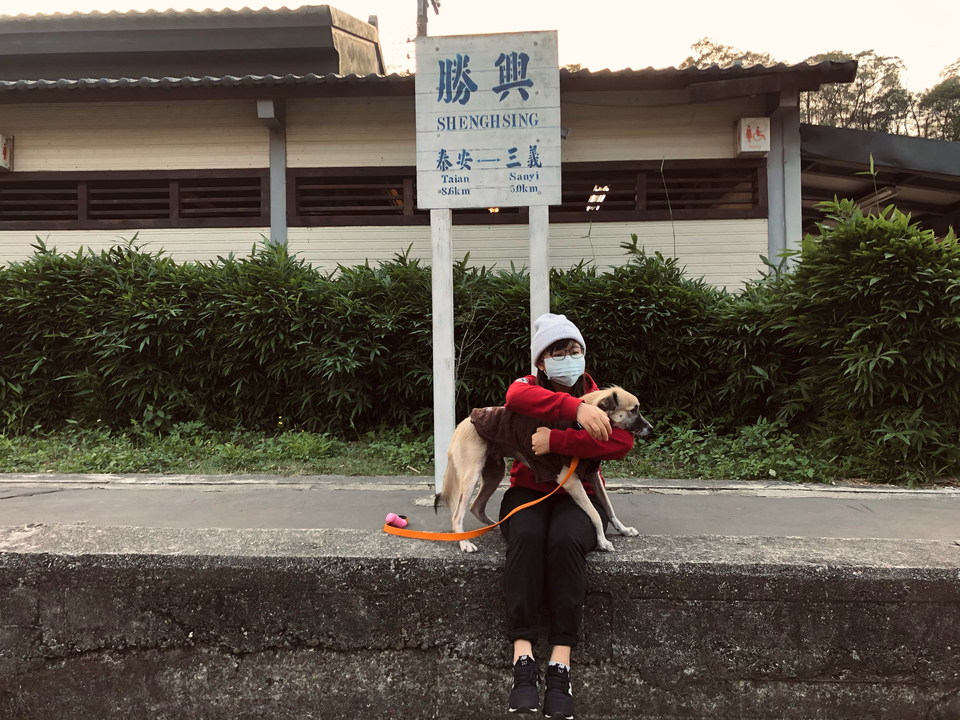 擔心狗狗一個人在家嗎？讓我陪伴他們吧！ - 服務說明 4