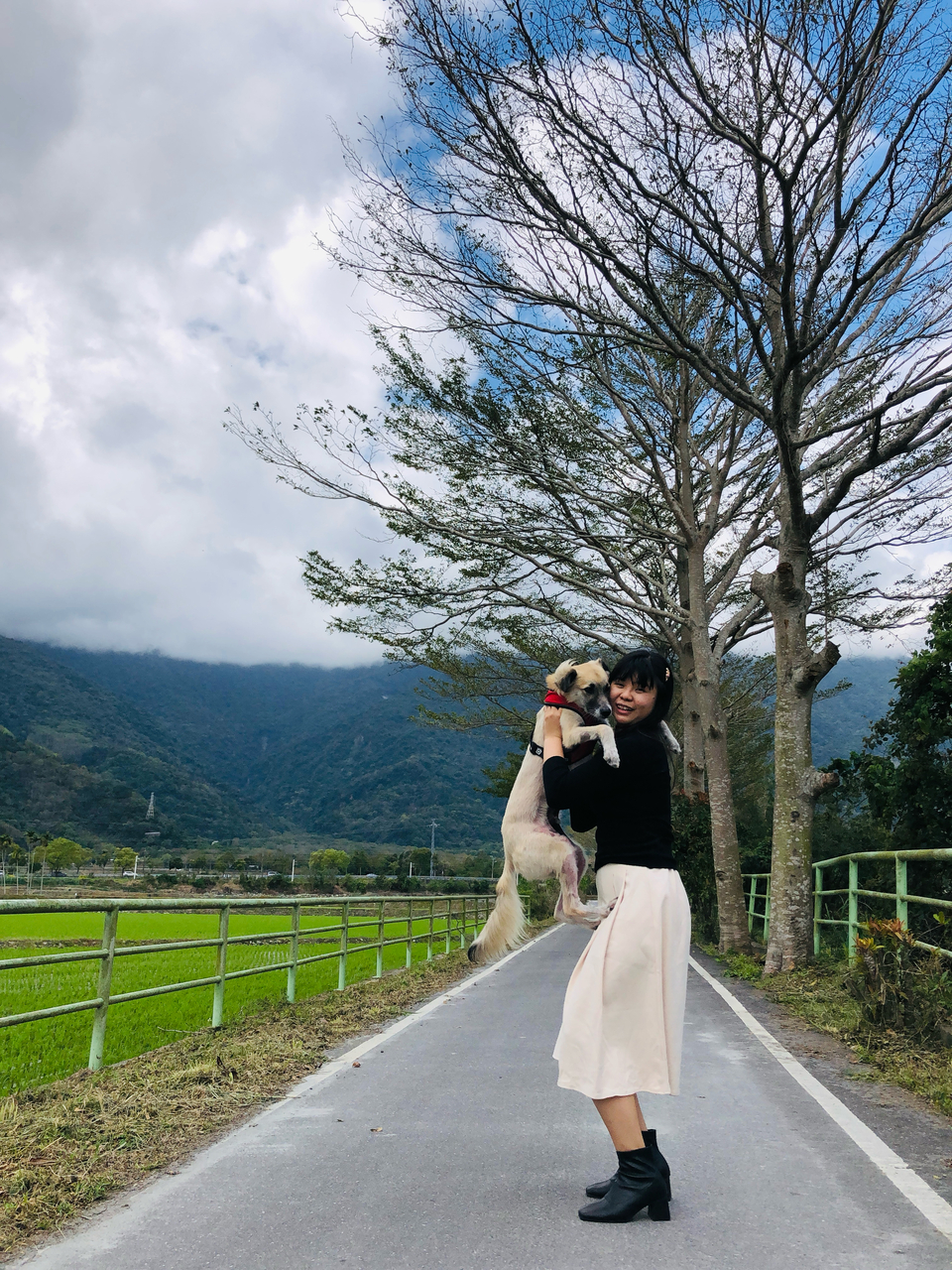 擔心狗狗一個人在家嗎？讓我陪伴他們吧！ - 服務說明 2