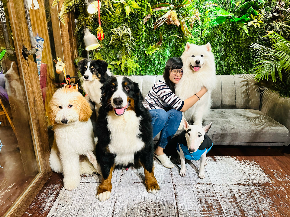 擔心狗狗一個人在家嗎？讓我陪伴他們吧！ - 服務說明 1