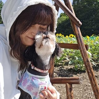 ゆうか