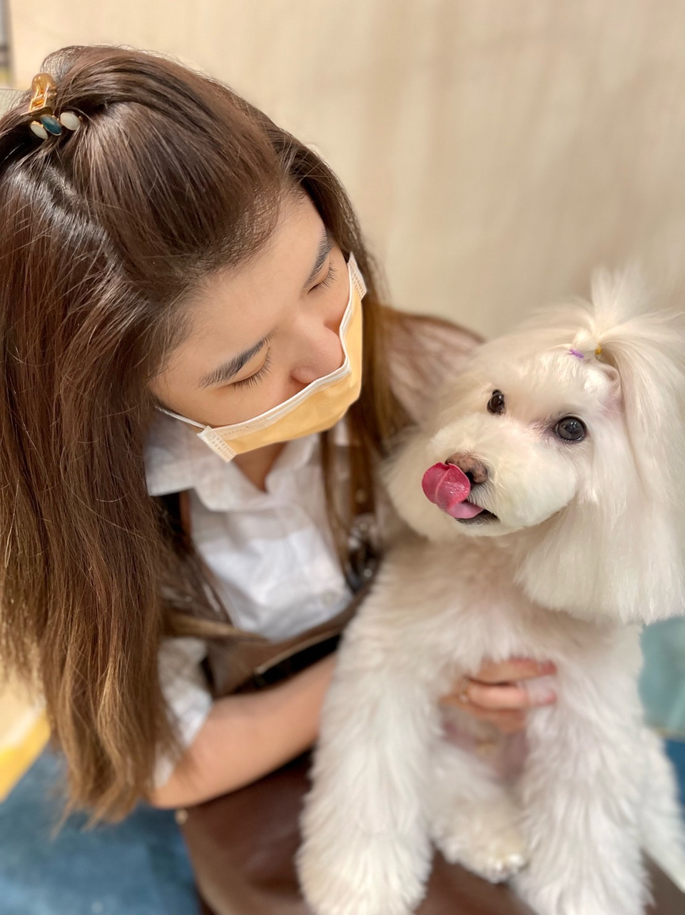 毛澡堂寵物沙龍（狗安親、住宿） - 服務說明 8