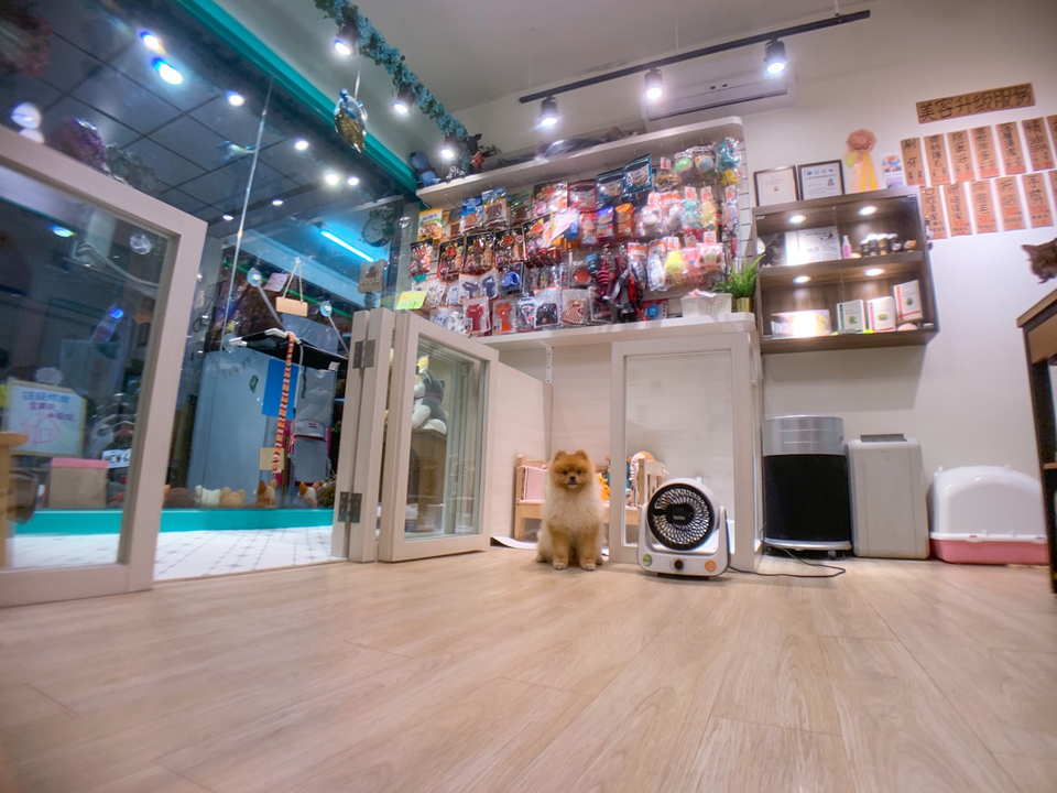 毛澡堂寵物沙龍（狗安親、住宿） - 服務說明 9