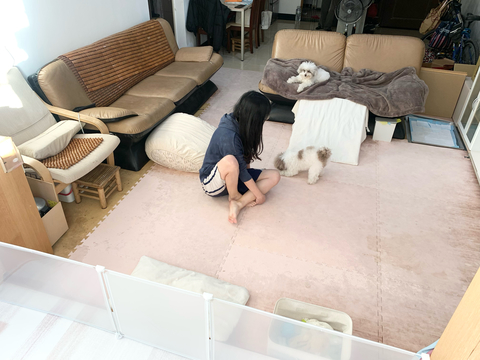 Bonjour的家💕｜逢甲、水湳、文華高中《住宿下單區》