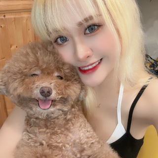 泰迪媽🐻🧨請提前詢問預約❤️