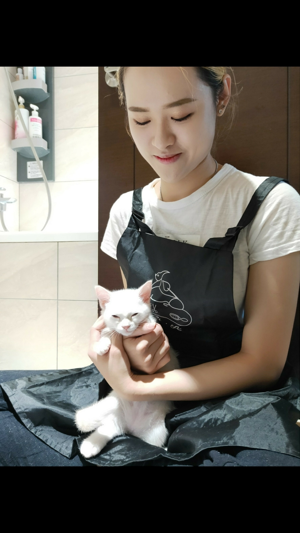 專業貓咪洗澡❤️❤️❤️B級美容師🌟（幼幼貓專區） - Description 1
