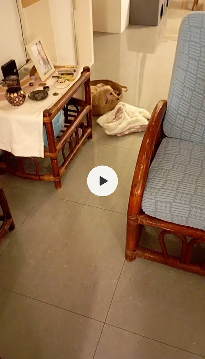 超funny超疼狗，你孩子就是我的孩子 - Description 10