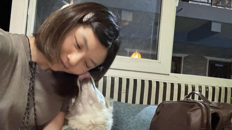 🥣到府照顧毛孩❤️🐈🐕 - 服務說明 7