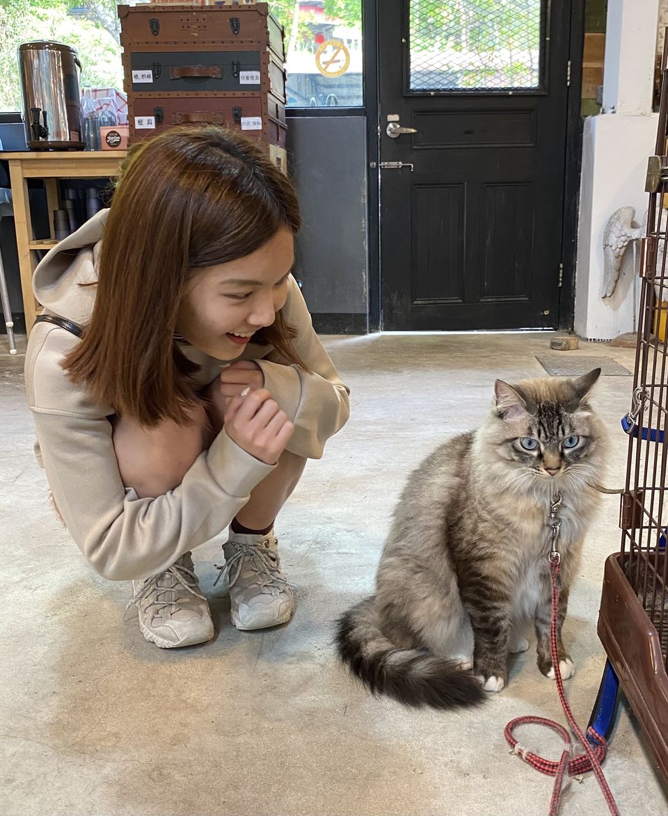 🥣到府照顧毛孩❤️🐈🐕 - 服務說明 4