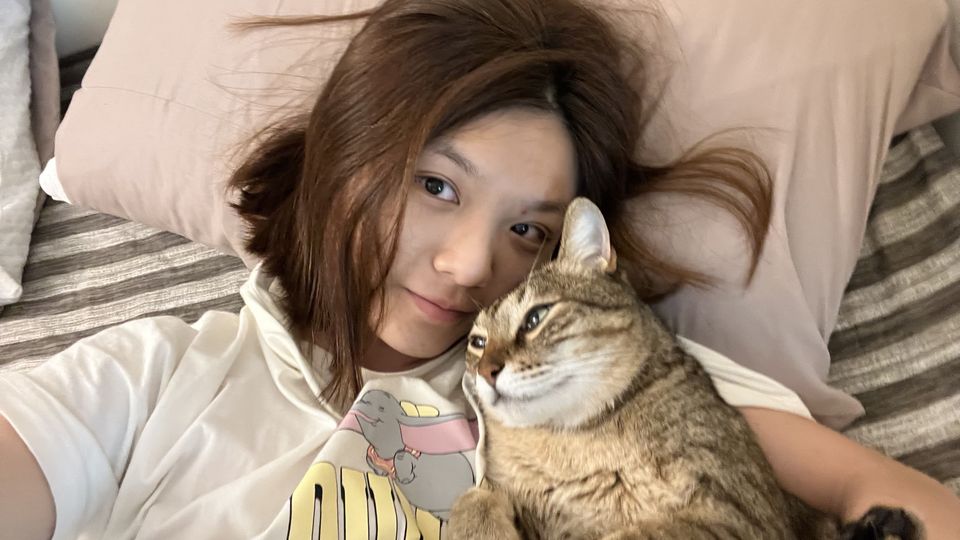 🥣到府照顧毛孩❤️🐈🐕 - 服務說明 3
