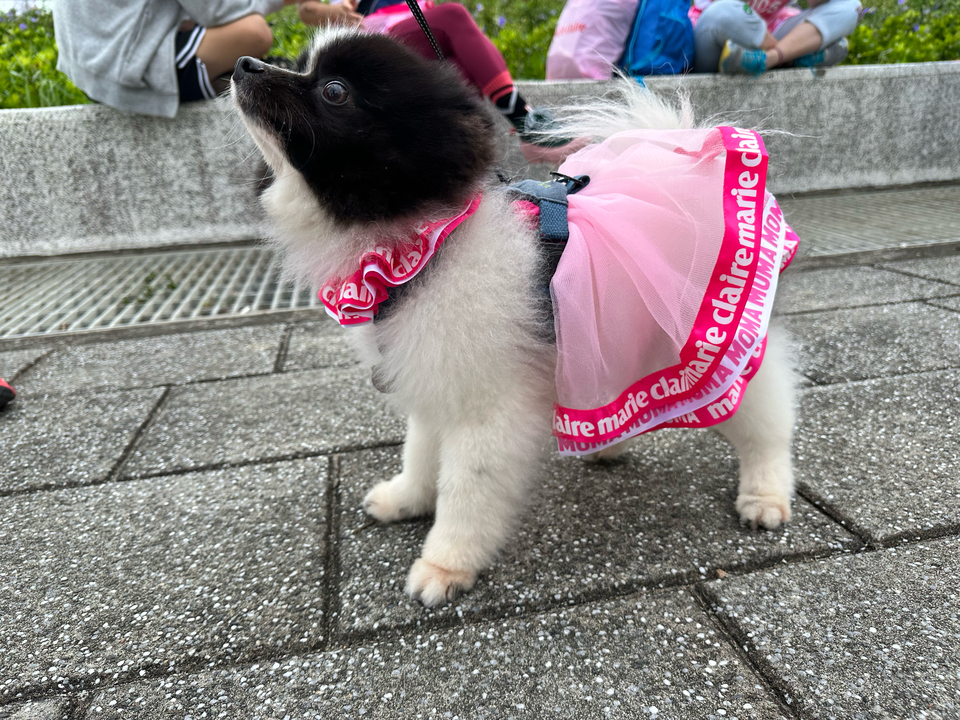 田心公園敦親睦鄰友誼價 - サービス説明 1