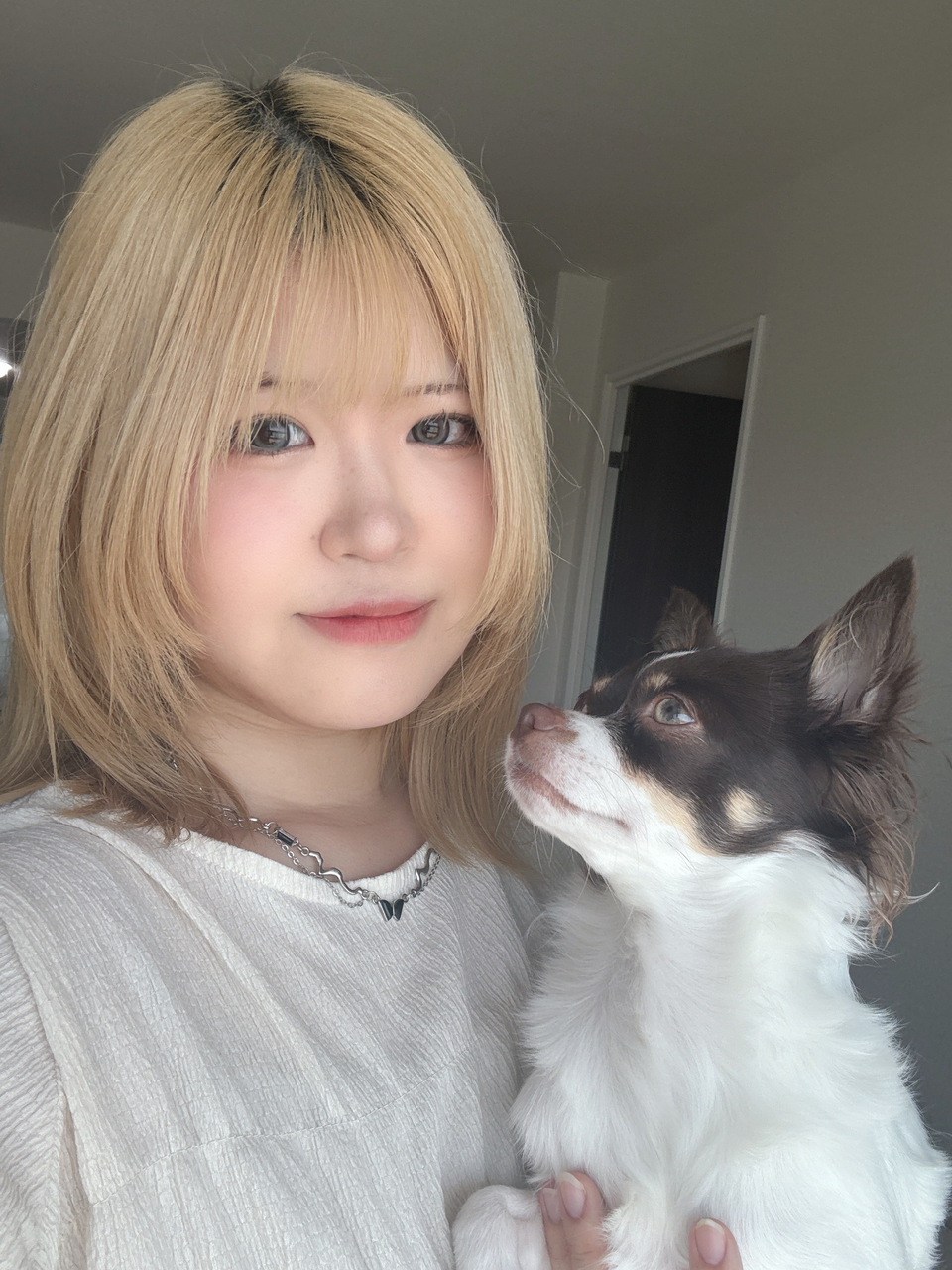 お散歩代行 - サービス説明 2