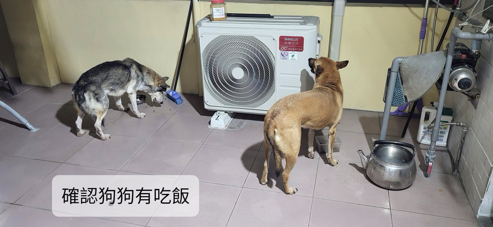 到府寵物保姆 - サービス説明 3