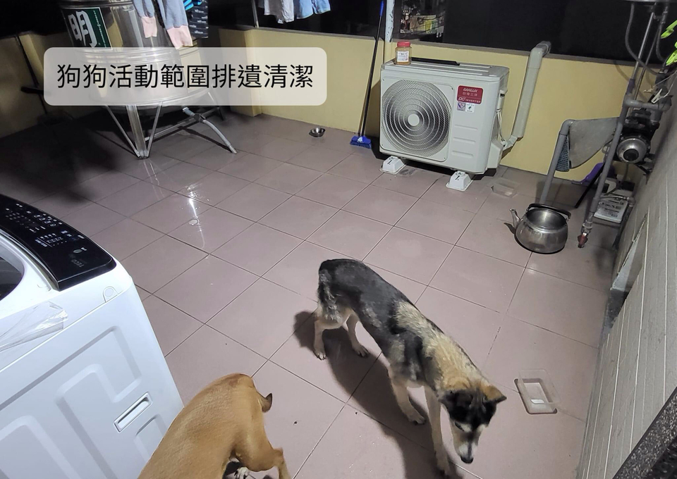 到府寵物保姆 - サービス説明 4