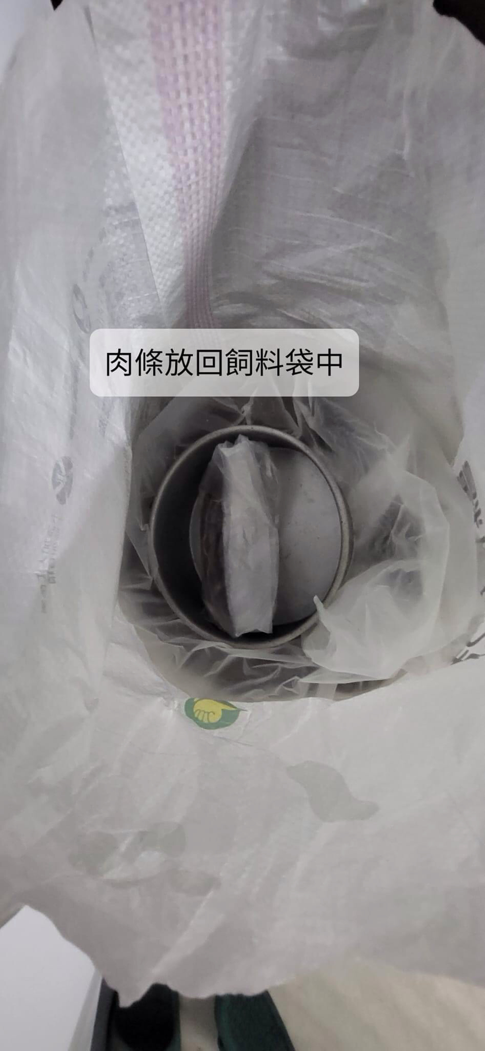 到府寵物保姆 - サービス説明 6