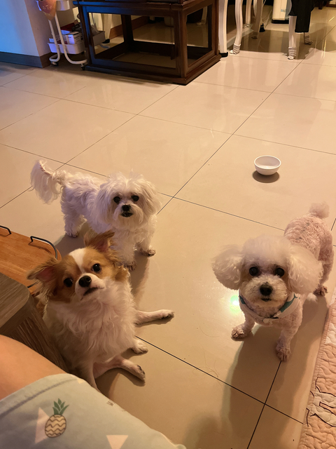 渡假勝地🏖️～ welcome to my home 