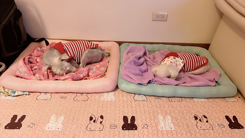 渡假勝地🏖️～ welcome to my home 