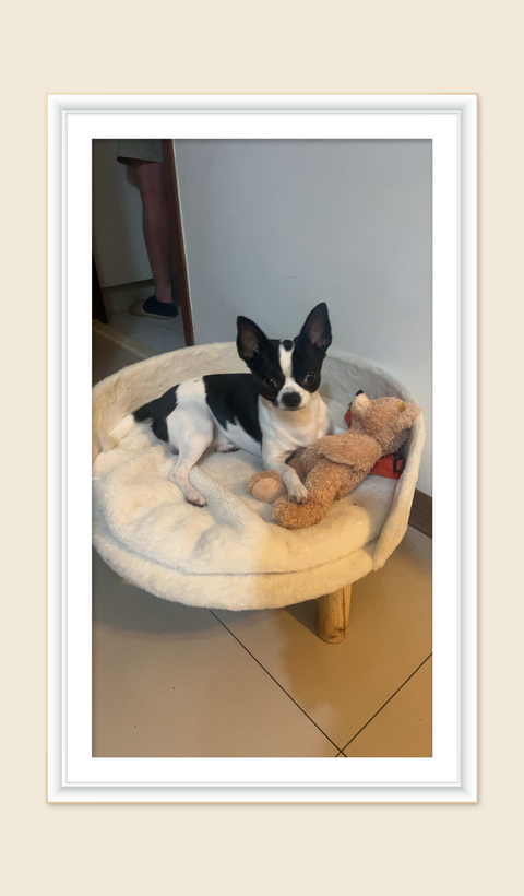 渡假勝地🏖️～ welcome to my home 