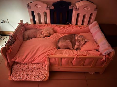 渡假勝地🏖️～ welcome to my home 