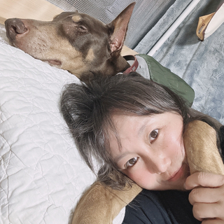 ペルロ
