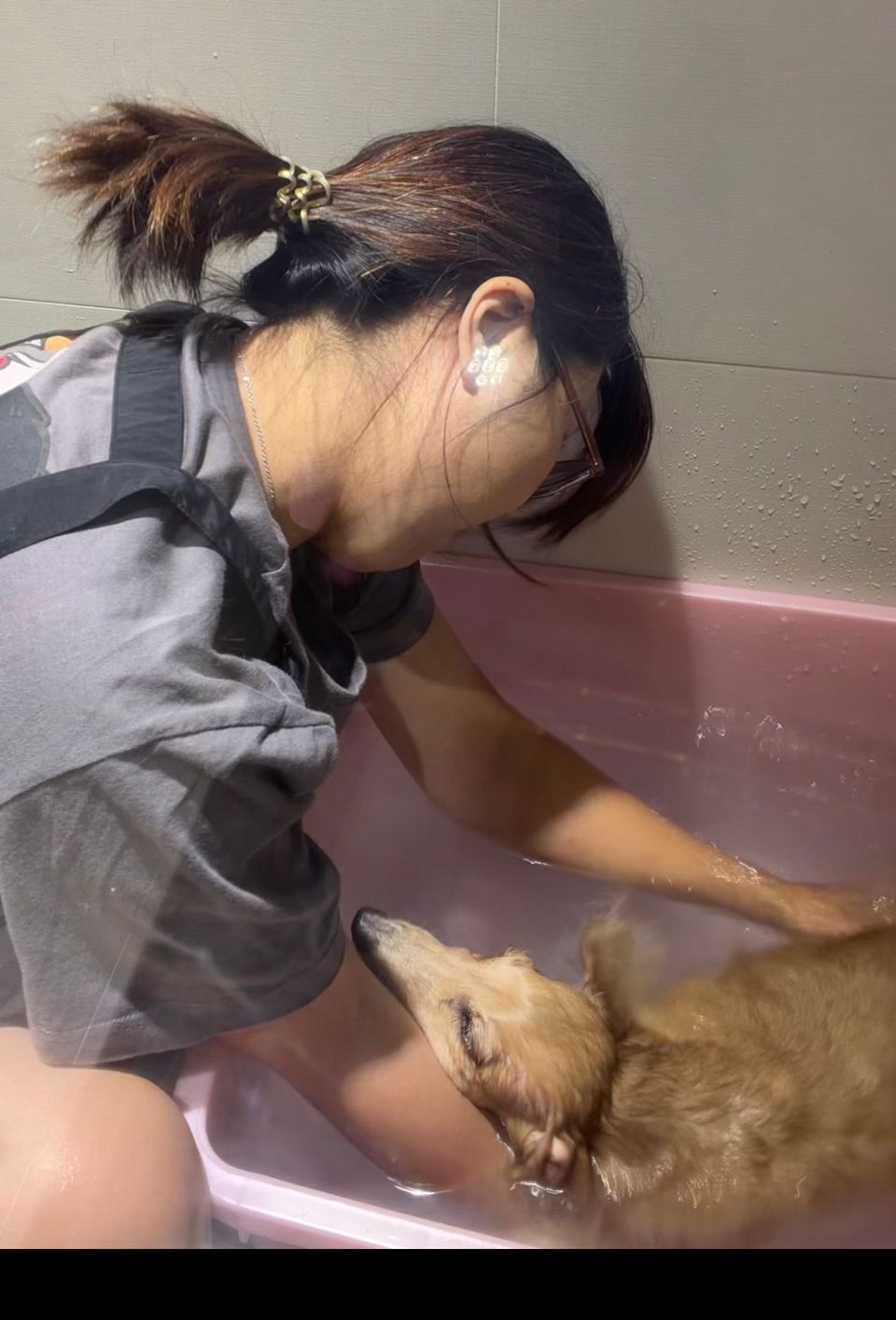 狗狗🐶居家寵物洗澡含基礎美容 - Description 8