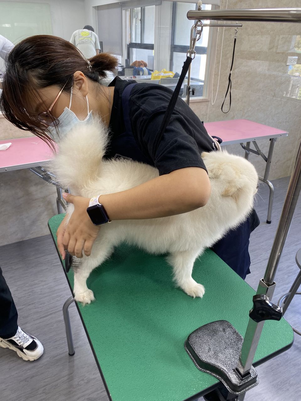狗狗🐶居家寵物洗澡含基礎美容 - Description 5