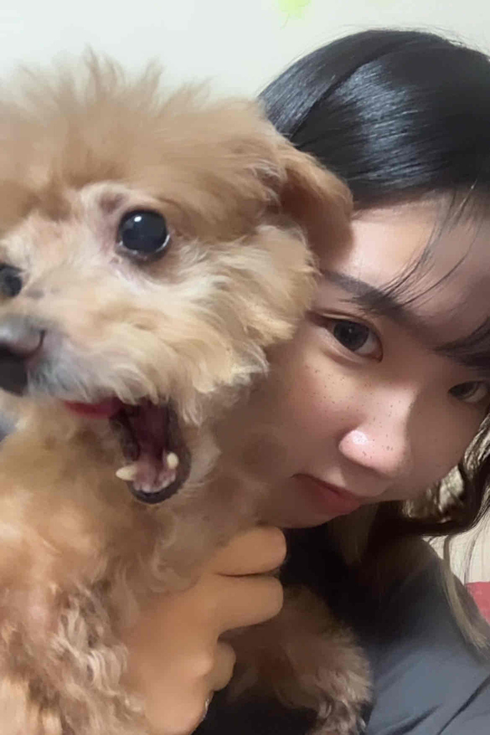 ponny陪玩記 - サービス説明 2