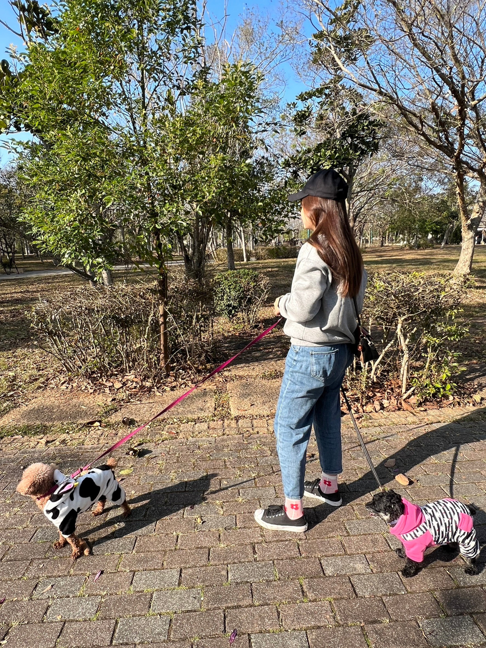 「台中北區、西屯區、西區」遛狗小妹💖💖💖 - サービス説明 10