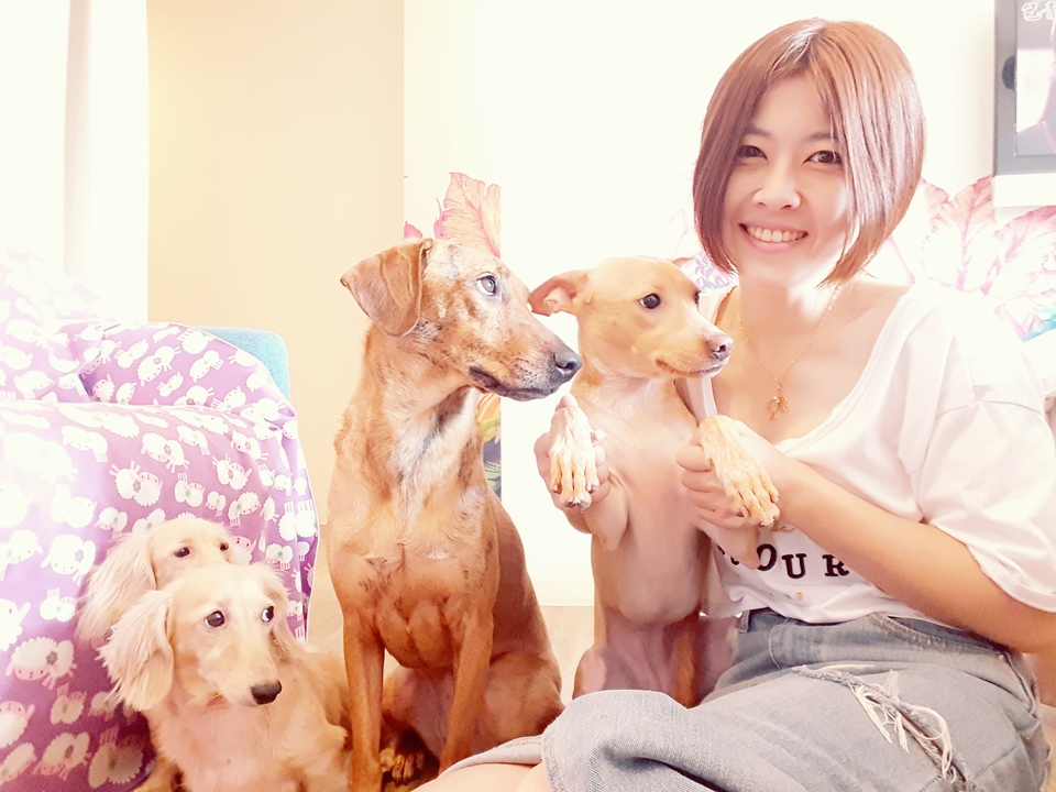 嘎嘎到你家🤩              ～～～～～～～～～～～～～～                                    寵物住宿安親3年以上經驗，並針對孩子習性行為做調整，讓孩子安心開心 - サービス説明 7