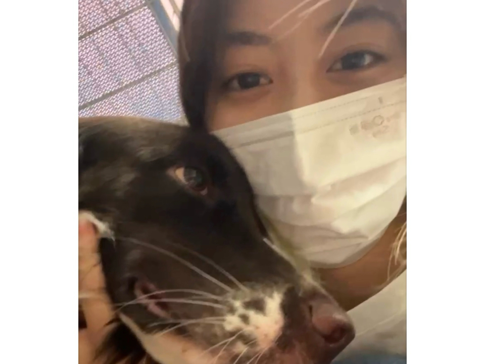 陪伴散步、玩耍放電✨寵物美容師執照✅ - サービス説明 4