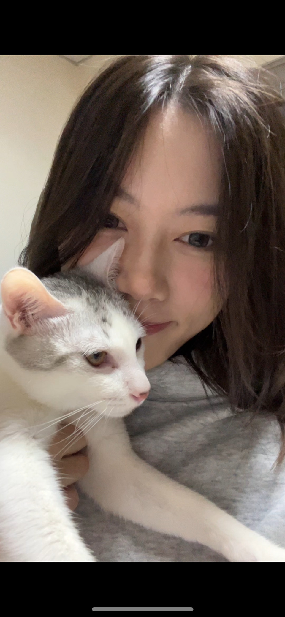 到府照顧、陪玩😺寵物美容師執照✅/剪指甲、清耳朵 - サービス説明 8