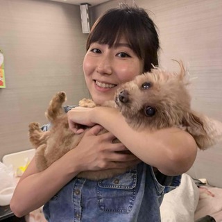 兆兆