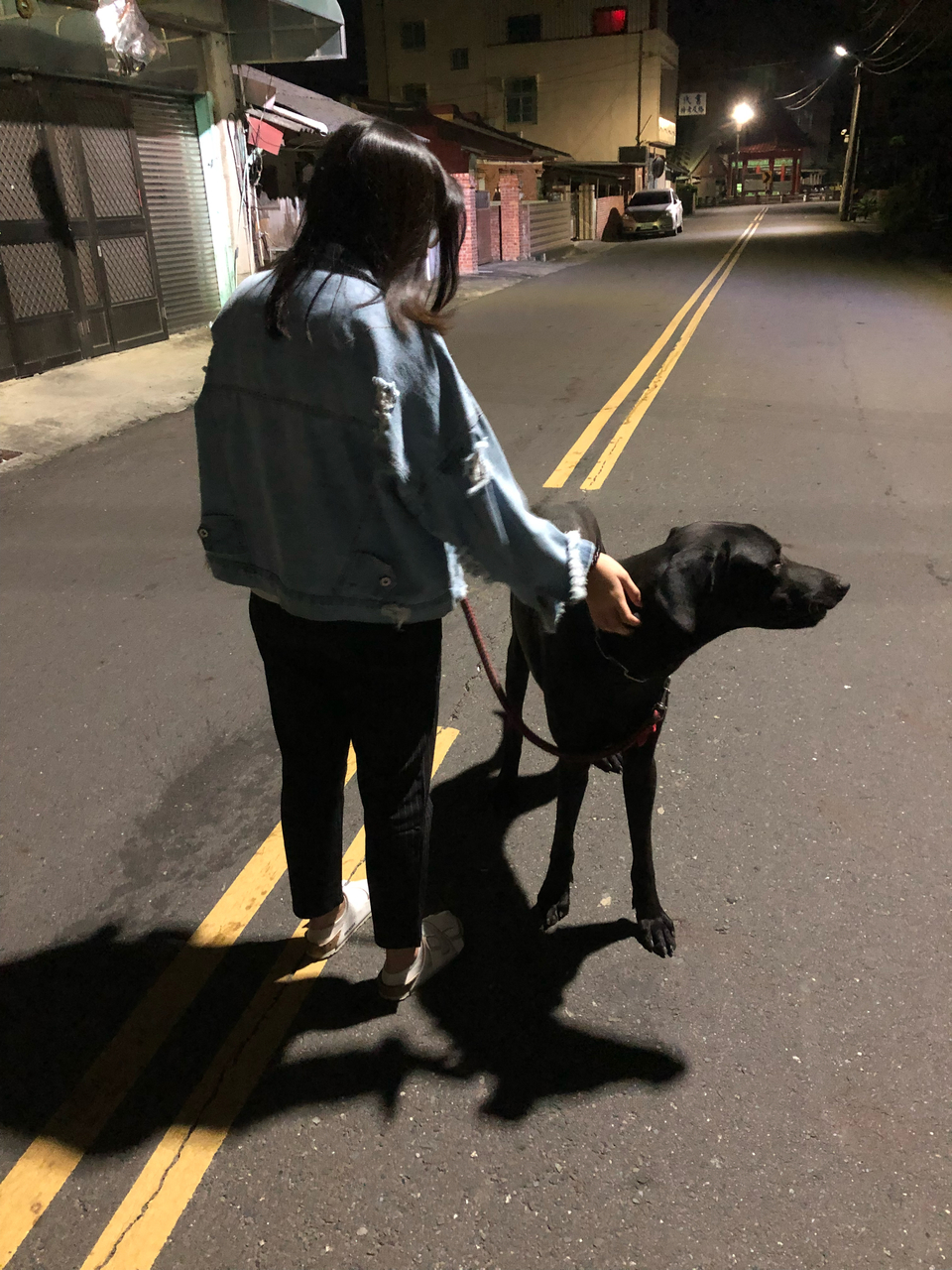 陪毛小孩散步 - Description 2