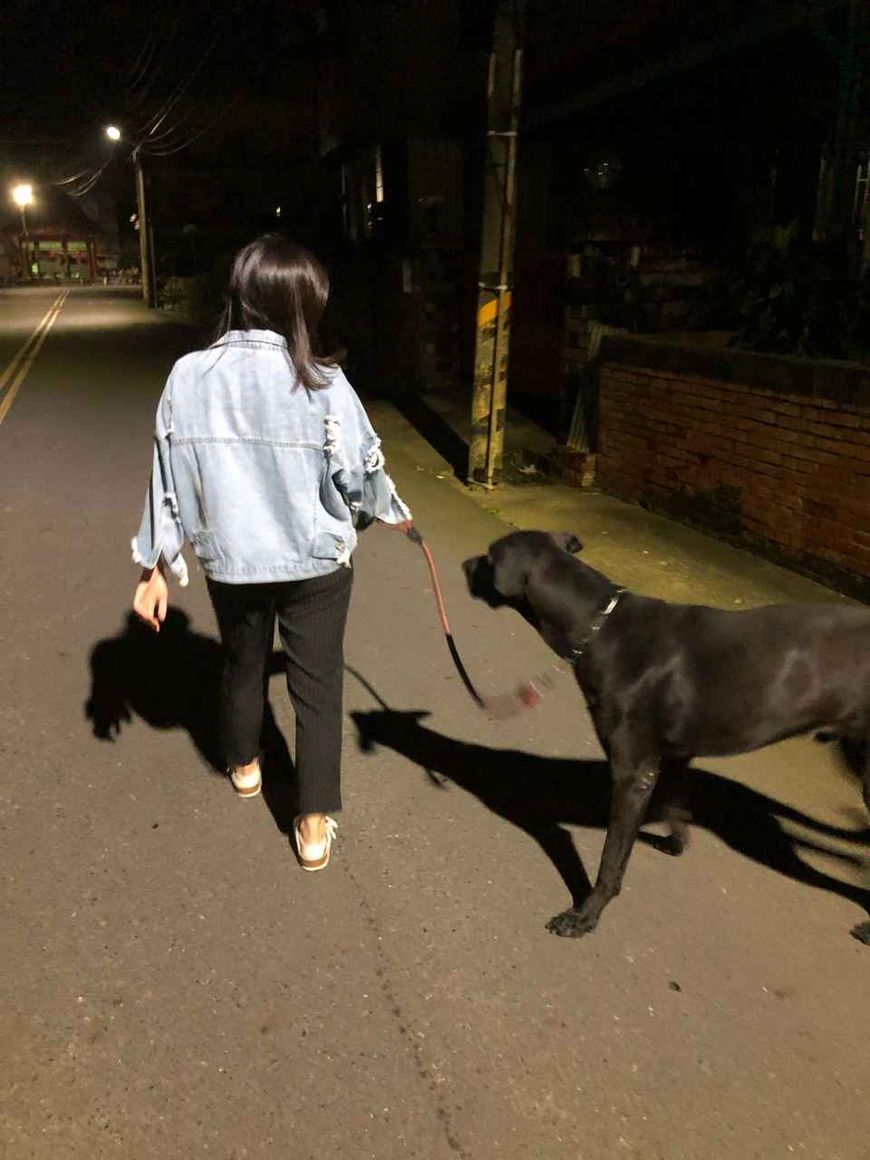 陪毛小孩散步 - Description 1