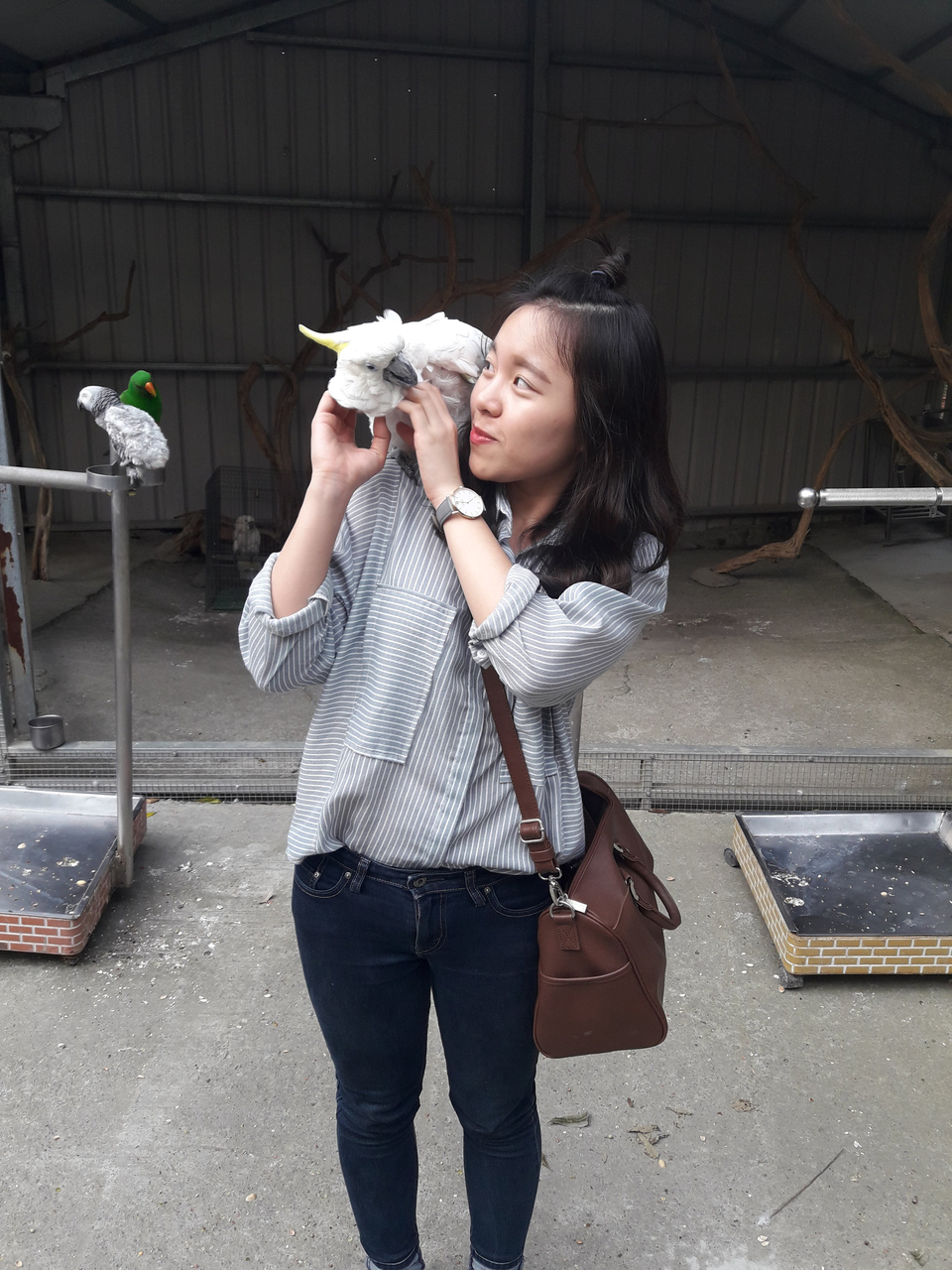 陪毛小孩散步 - Description 6