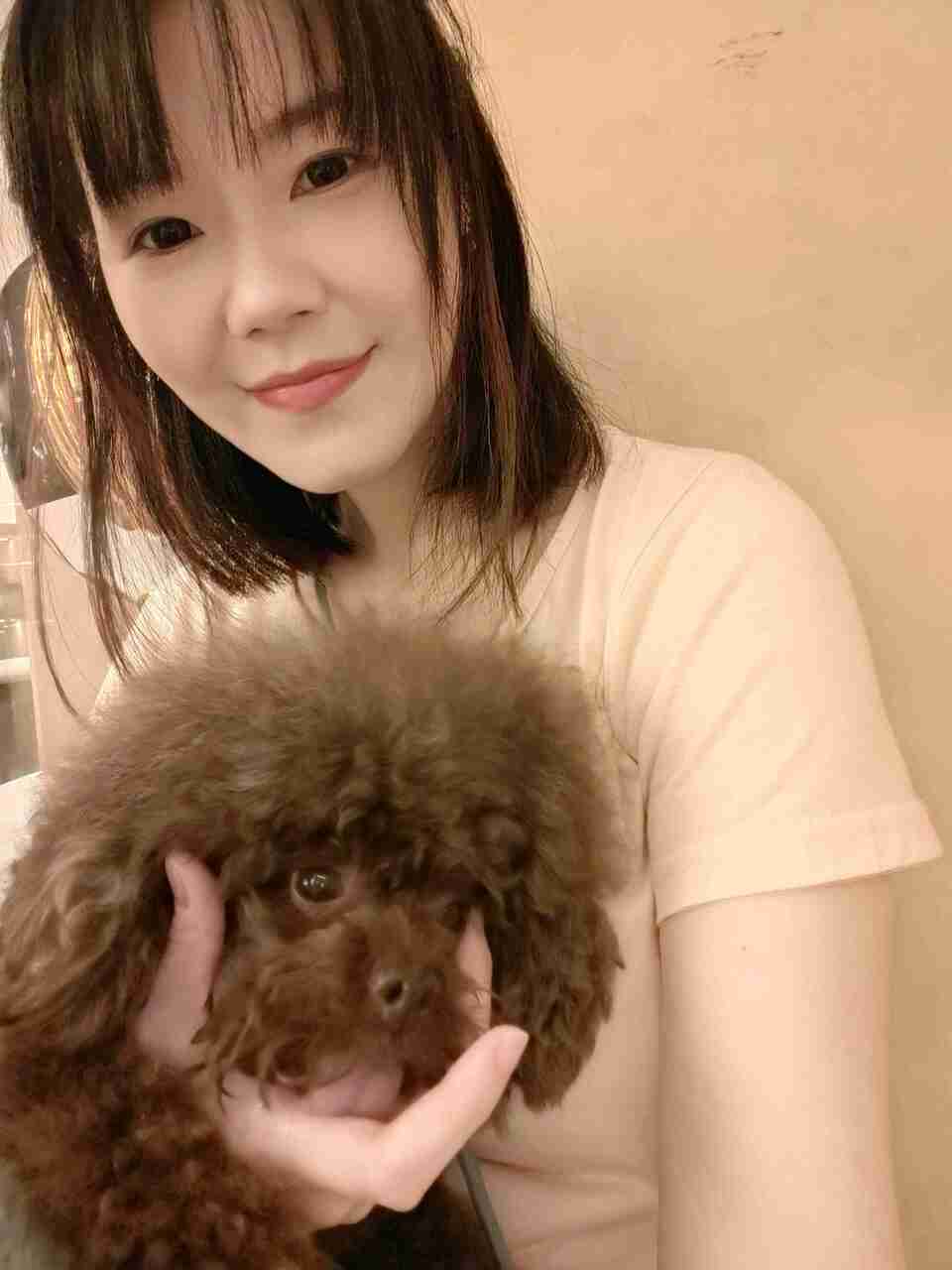 艾維拉到府服侍主子們 - 服務說明 1