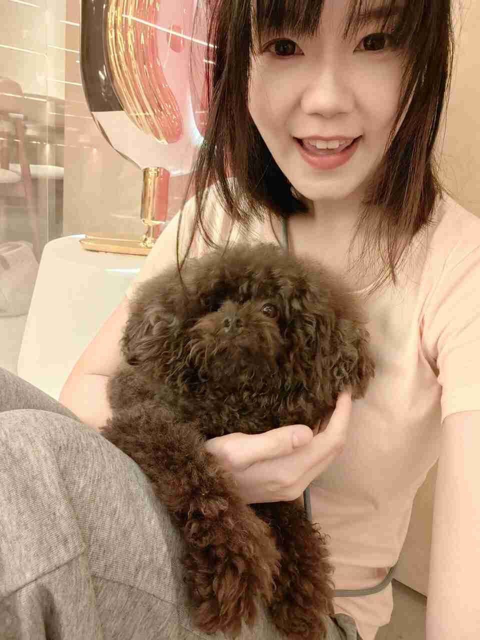 艾維拉到府服侍主子們 - 服務說明 2