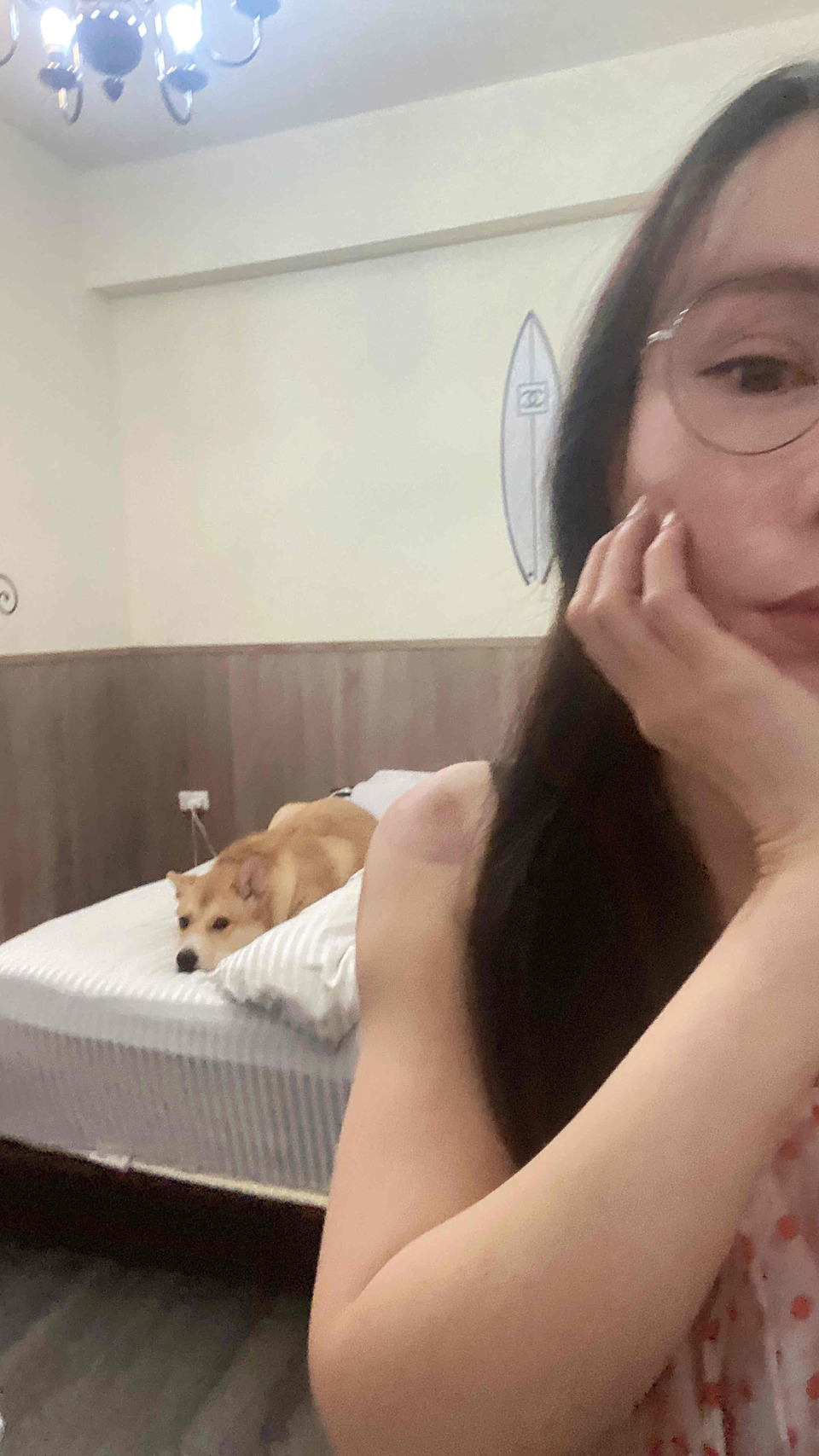 養狗20年 從小就愛動物 養貓比較沒經驗 老鼠可以 鳥可以 養過兔子 - サービス説明 1