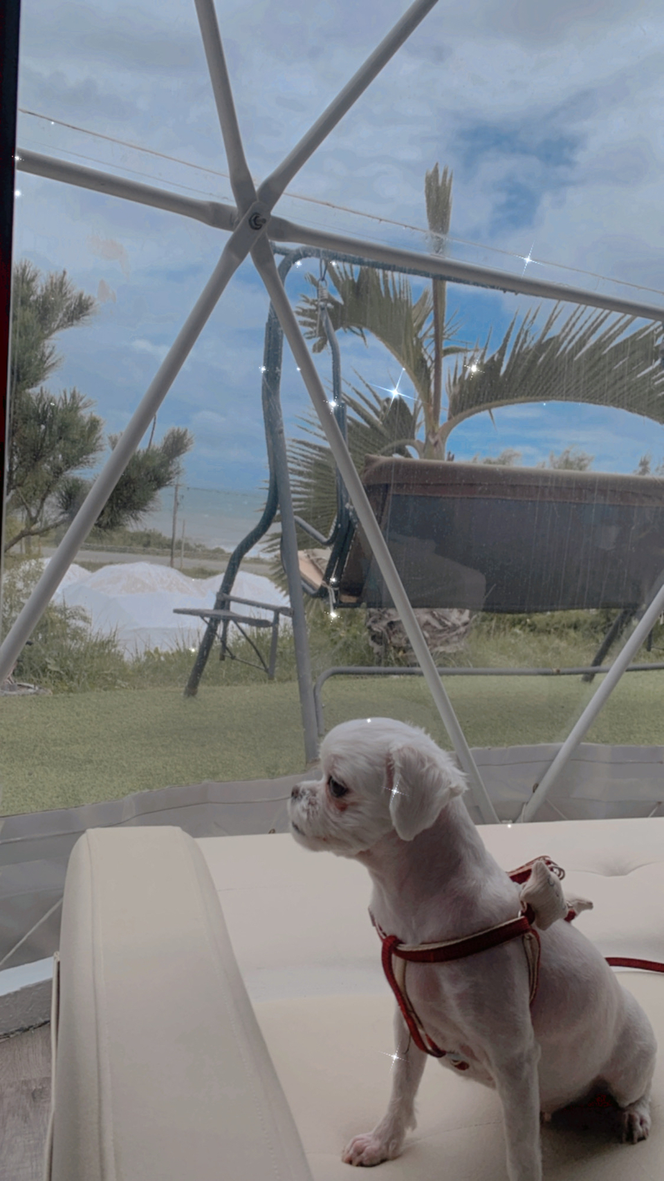 陪玩小太陽🌞 - 服務說明 1