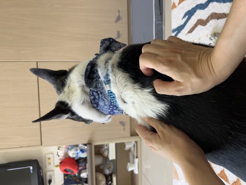 地點靠近亞東醫院站，專心照顧你的寶貝，寄宿以國定週休優先，平日可提前預約告知