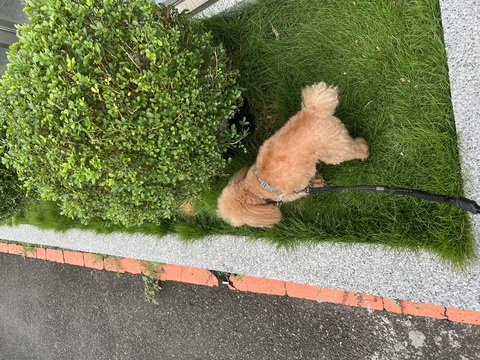 地點靠近亞東醫院站，專心照顧你的寶貝，寄宿以國定週休優先，平日可提前預約告知