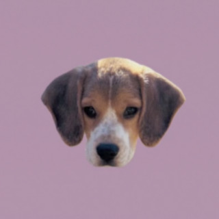 セーラ
