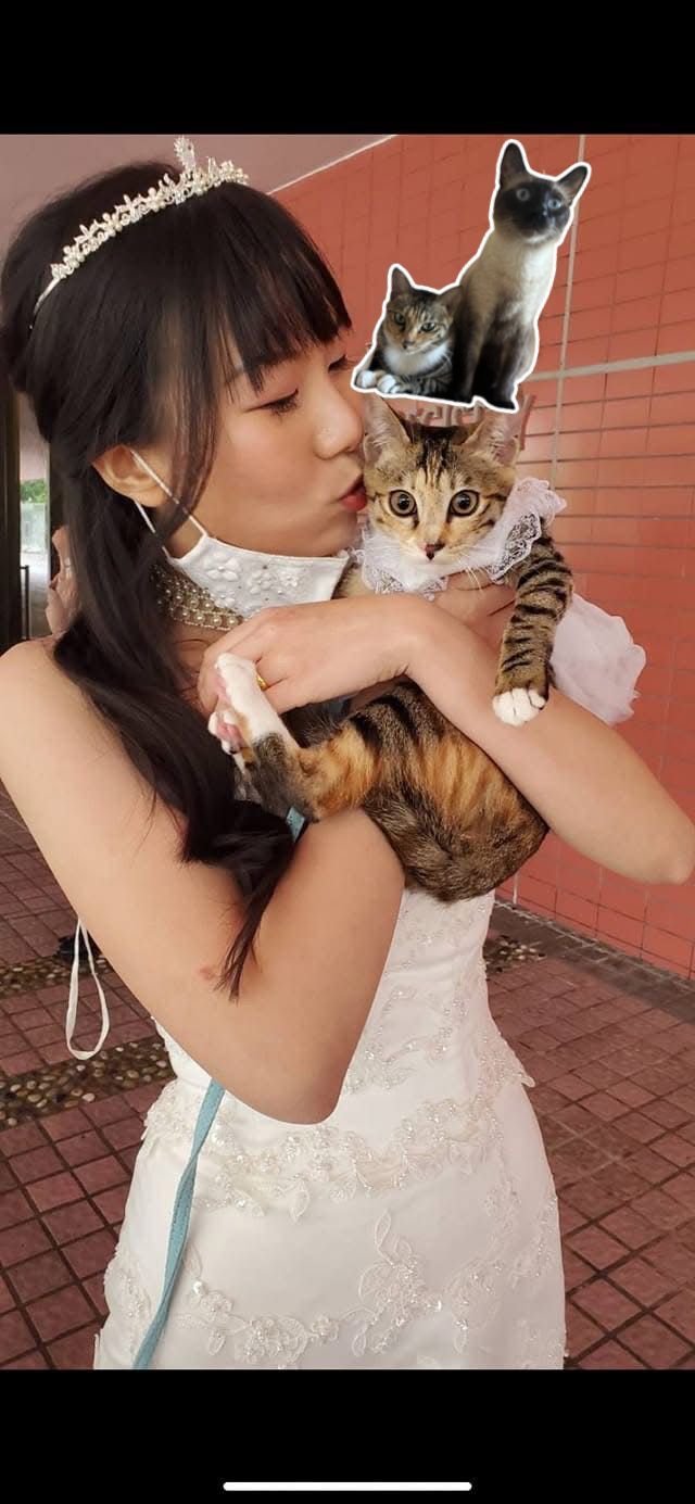 提供上門照顧寵物、陪玩陪伴寵物 - サービス説明 1