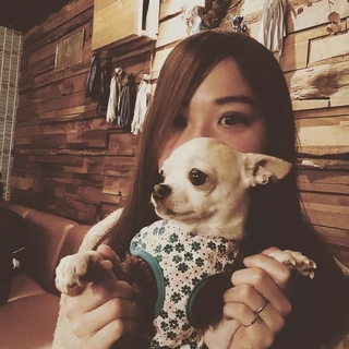 あすか🐶Asuka🐱English ok🐶🐱