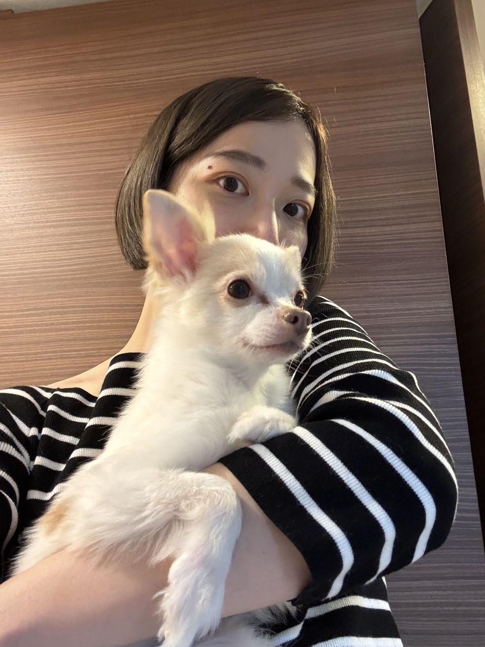 🐶🐱PET SITTER🐕 - 服務說明 1