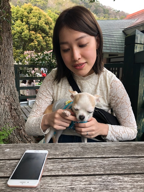 わんちゃんねこちゃんお留守番サポート