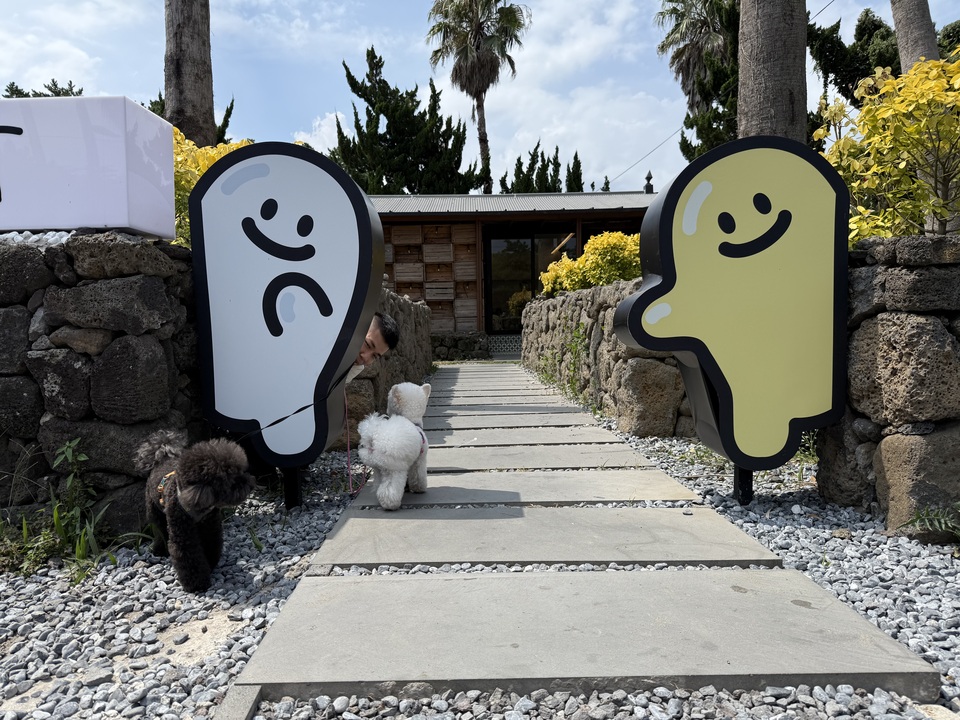 手把手帶狗去韓國玩 Take dogs to Korea - 服務說明 5