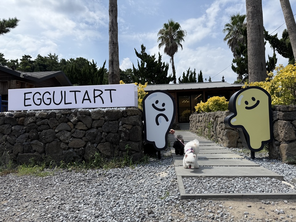 手把手帶狗去韓國玩 Take dogs to Korea - 服務說明 7