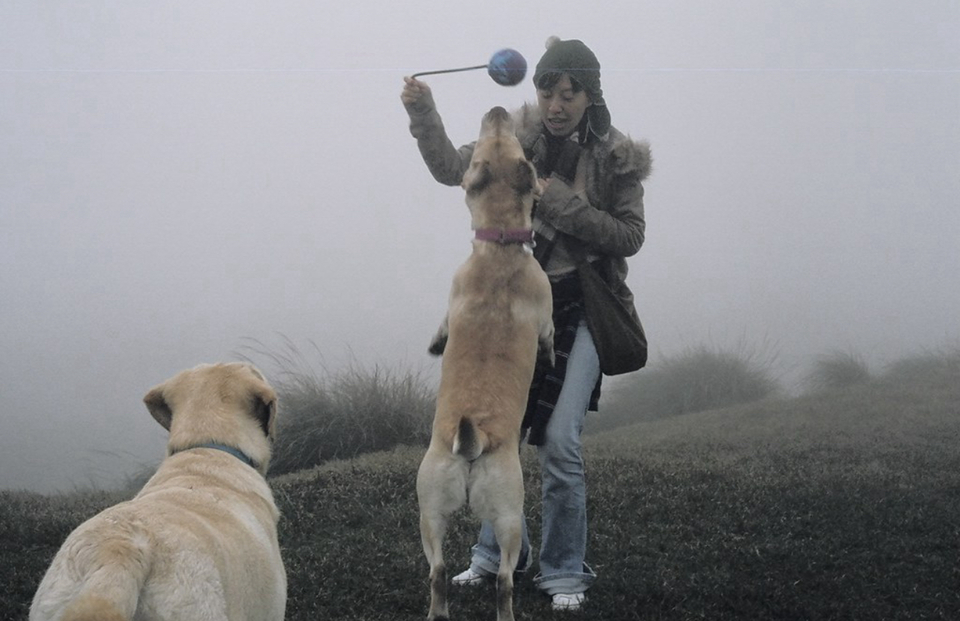 正向訓練經驗，飼養大型犬超過20年。 - 服務說明 2