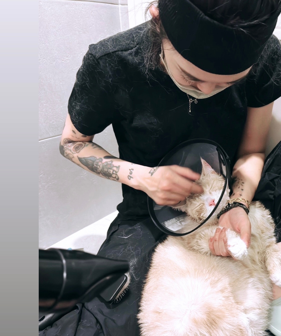 🐈🐈禾禾洗貓 專業美容師 到府賽級洗護 來洗香香吧🛁 - 服務說明 3