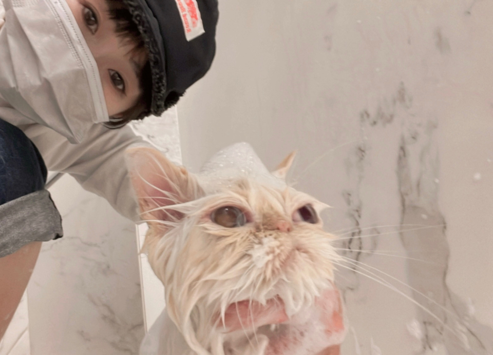 🐈🐈禾禾洗貓 專業美容師 到府賽級洗護 來洗香香吧🛁 - 服務說明 2